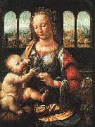  Leonardo  Da Vinci The Madonna of the Carnation painting